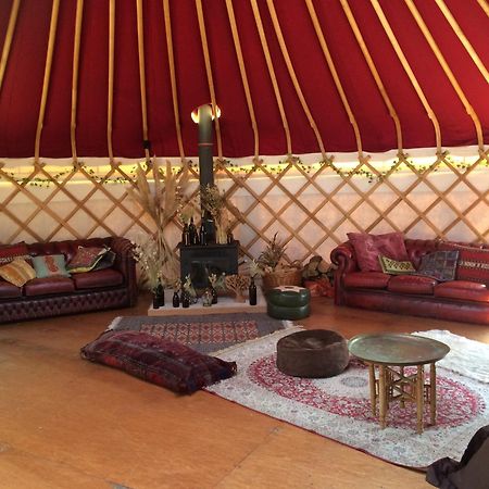 Silver Airstream Glamping & Rental Τσίτσεστερ Εξωτερικό φωτογραφία